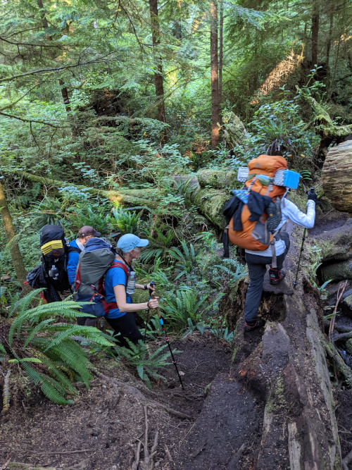 Rough Trail on Vancouver Island