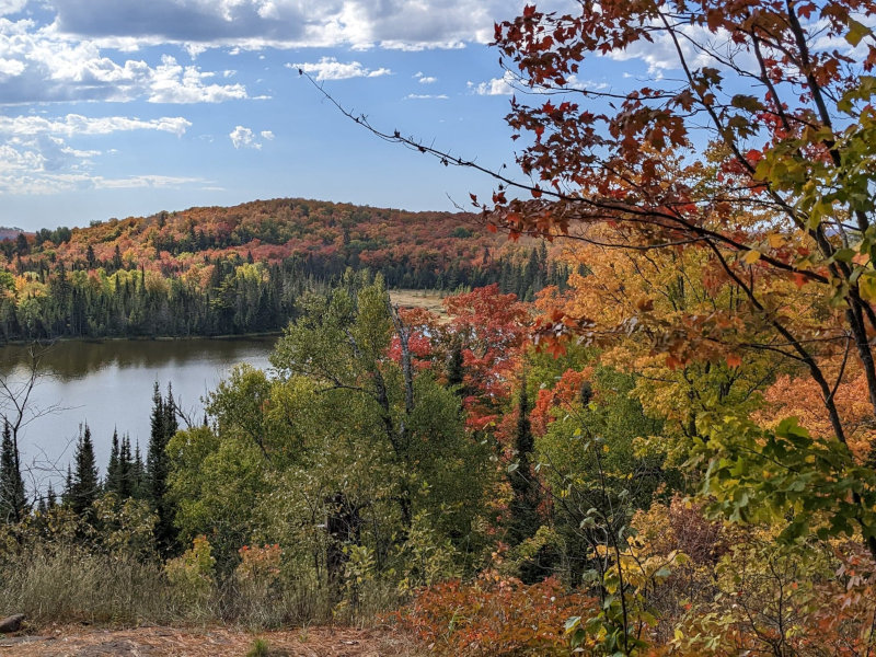 Fall Colors on the SHT