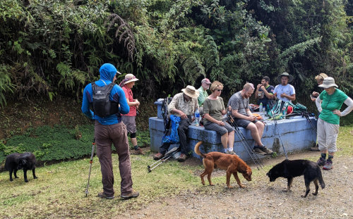 Guide Dogs