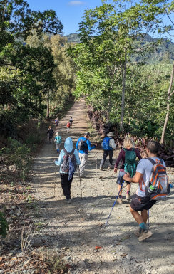 Hiking through Coffee fields