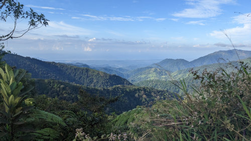 First View of Pacific Ocean