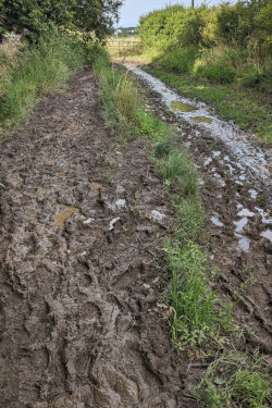West Highland Way very muddy trail