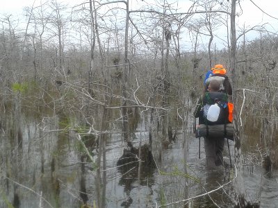 Florida Trail