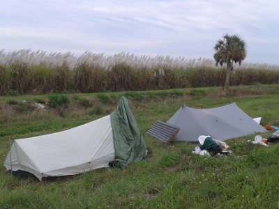 Lone Palm campsite