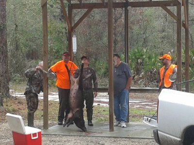 Hog Hunters