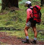 lightweight backpack