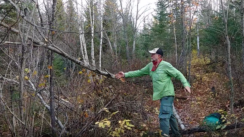 Kekekabic Trail Clearing