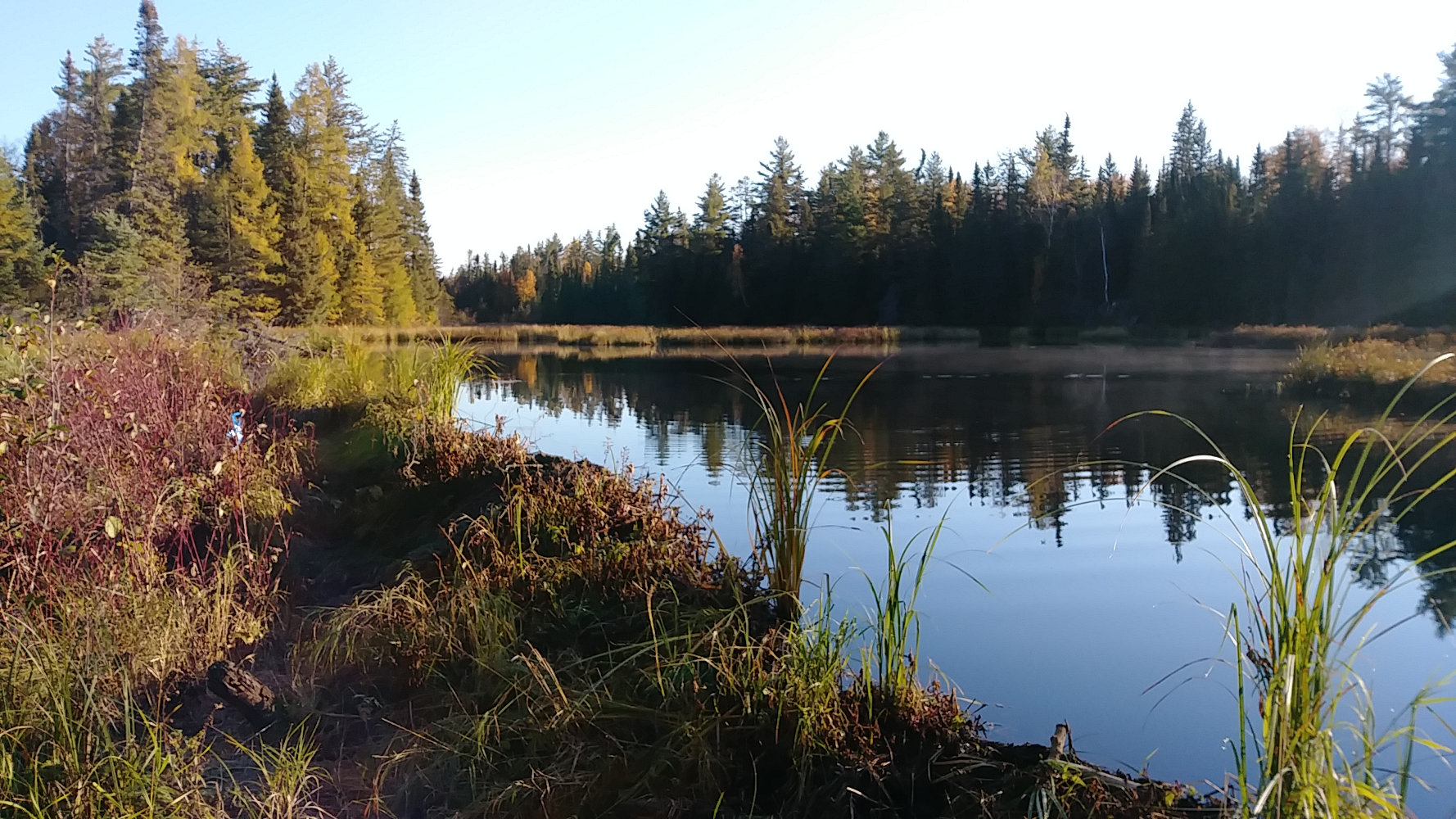 Beaver Dam on Kek