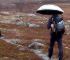 hiking umbrella