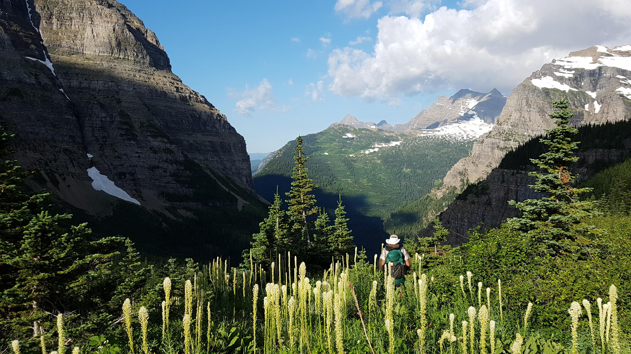 Brown Pass in Glacier