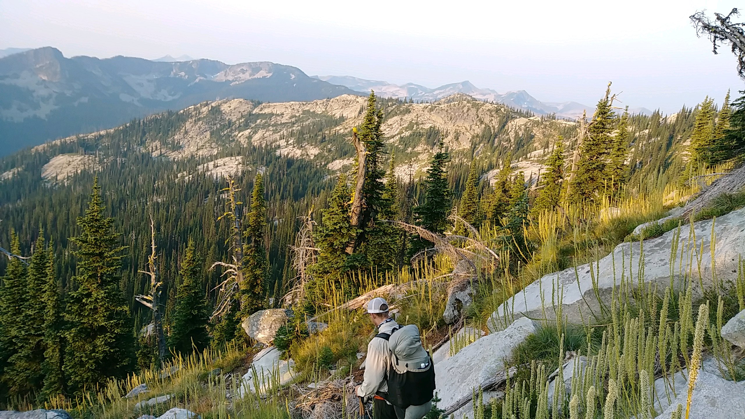 Bushwhacking on the PNT