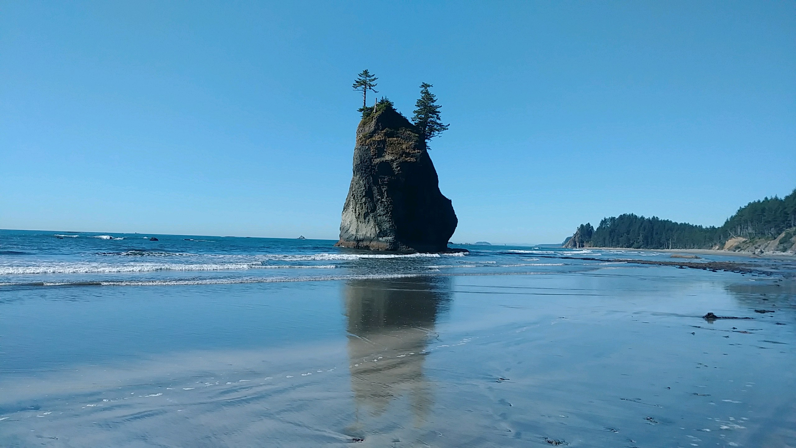 Washington Wilderness Coast