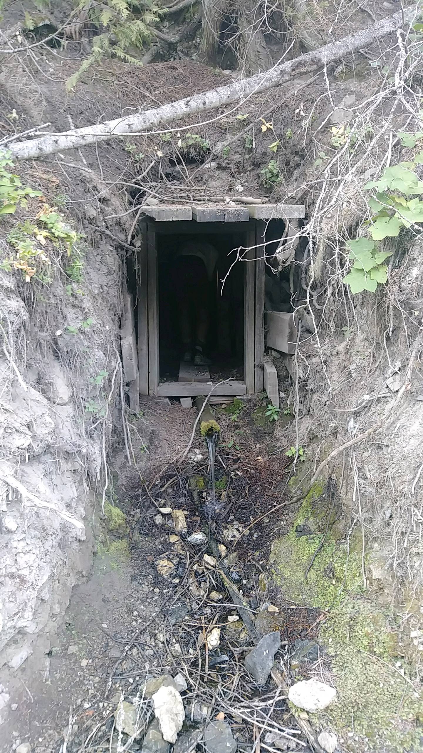 Old Mine