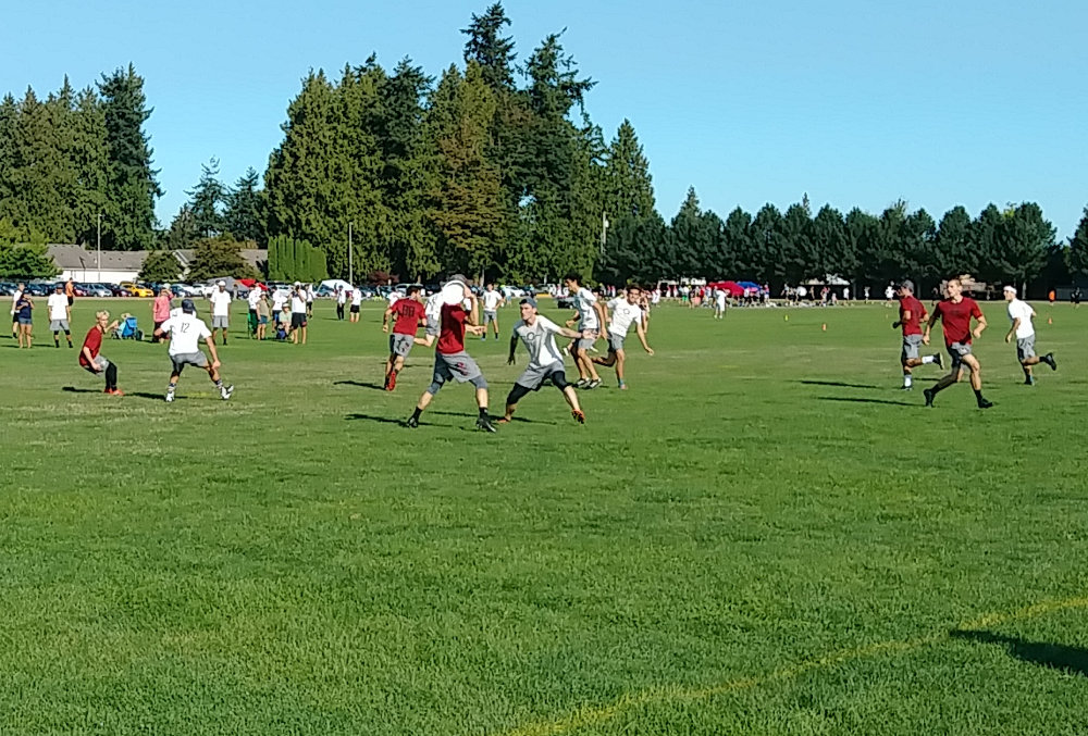 Ultimate Frisbee