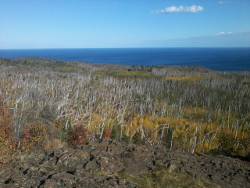 SHT view of Lake Superior