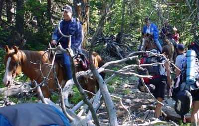 horse hiking trail