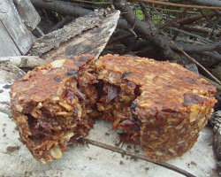 Original Puck for backpackers